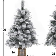 クリスマスツリーの画像