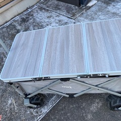 キャリーワゴンの画像