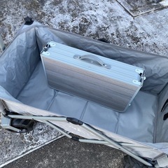 キャリーワゴンの画像