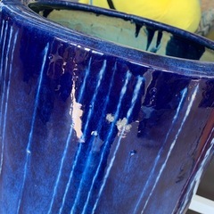 美原店 陶器製 傘立て ブルー 玄関 エントランス 雨具入れ　インテリアの画像