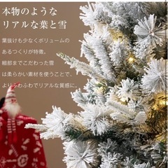 クリスマスツリーの画像