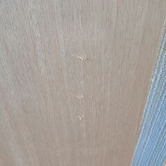 棚板　2枚（中古美品）の画像