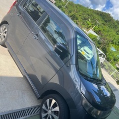 スティングレーの画像