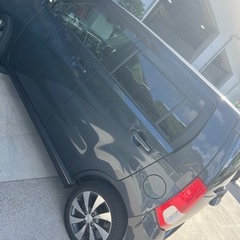 スティングレーの画像