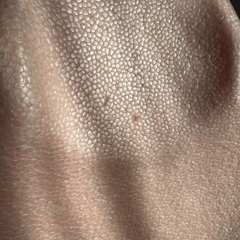 お風呂のベビー洗い台の画像