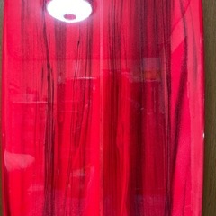 サーフボード の画像