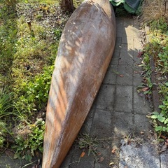 きまりました！決まりました！高級カヌー！あげます。あげます。の画像