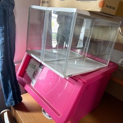 古着(玄関前セール)！！の画像