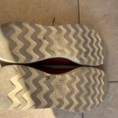 レッドウイングラインマンの画像