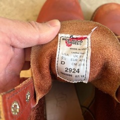 レッドウイングラインマンの画像