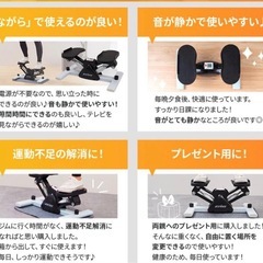 ステッパー さいどすてっぱサイドステッパーの画像