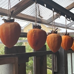 ラスト‼️大玉干し柿処分11/9迄受付の画像