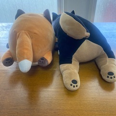 柴犬、ぐんまちゃんの画像