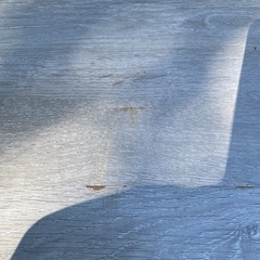 ウッドカーペットの画像