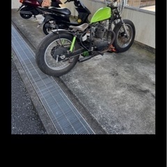 人と被りたくない人にオススメ今月限定出品250ccエストレアの画像