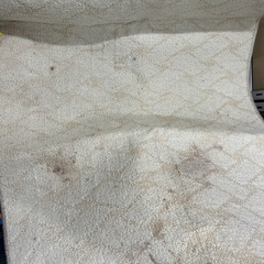 モリタ　1畳用ホットカーペット　汚れ有りの画像