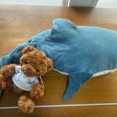 テディベア＆IKEAサメの画像