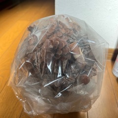 ハンドメイド　飾り　置物　松ぼっくり　どんぐり　あき秋の画像