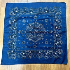 バンダナ ペイズリーの画像
