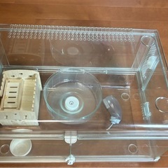 GEX グラスハーモニー 600の画像