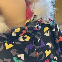 K2511-099 arg スノボー ウェア Lサイズ スキー スポーツ ほつれ汚れ有りの画像