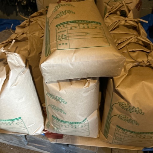 2025産新米ヒノヒカリ（玄米）10kg
