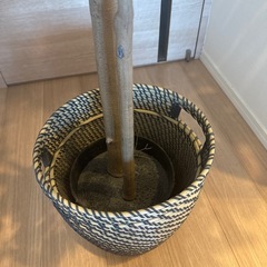 IKEA 造花　鉢つきの画像