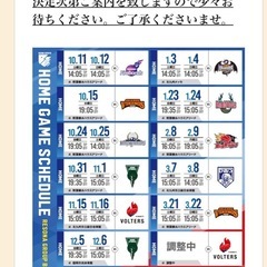 ライジングゼファー福岡　観戦チケットの画像