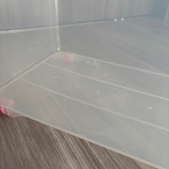 収納ケース1個の画像