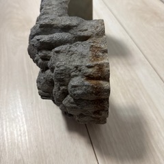 爬虫類用品　セット販売の画像