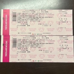 テゲバジャーロ宮崎vsザスパ群馬のサッカー試合チケット