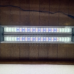 水槽用ライト　アクアリウム　寿工芸 コトブキ工芸 フラットLED ツイン 600の画像