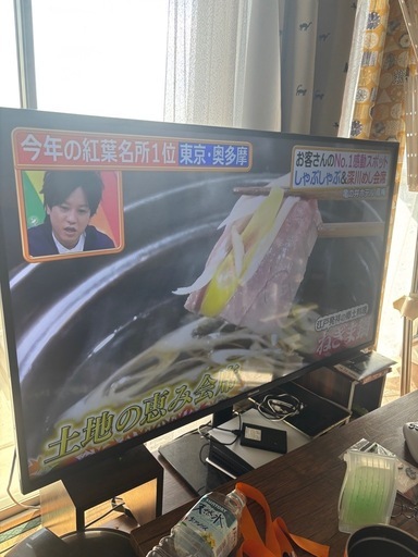 テレビ Hisense 50型 4k