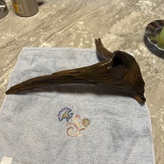 流木30cm±の画像