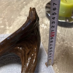流木30cm±の画像
