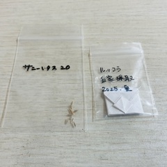 🌱野菜・ハーブの種色々の画像