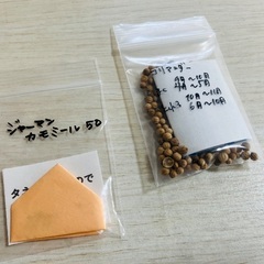 🌱野菜・ハーブの種色々の画像