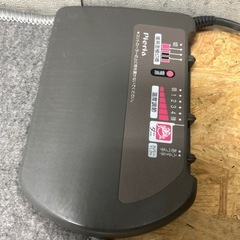 PIERIA 電気カーペット アーノルドパーマー カーペットシーツ　の画像