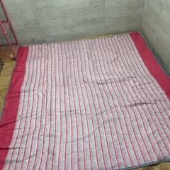 PIERIA 電気カーペット アーノルドパーマー カーペットシーツ　の画像