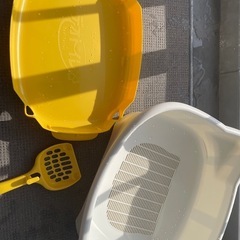 仔猫 デオトイレの画像