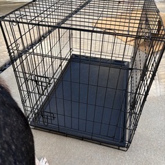 【美品】中型犬用　2ドア ケージ げーじゲージの画像