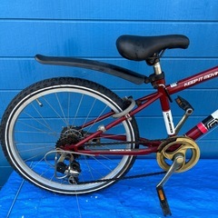 CYBERGINICK 22インチ6変速の画像