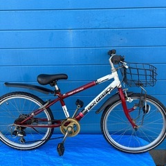 CYBERGINICK 22インチ6変速の画像