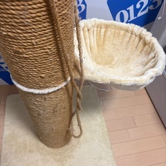 爪とぎポール（右無料
）の画像