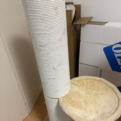 爪とぎポール（右無料
）の画像