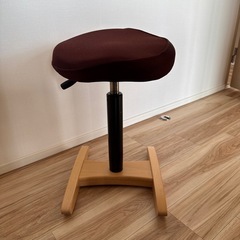  バランスシナジー 織柄　茶色　姿勢矯正 の画像