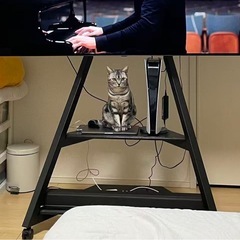 テレビ掛けの画像