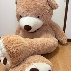 くまの大きなぬぬいぐるみの画像