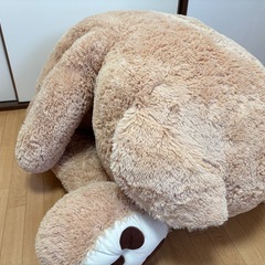 くまの大きなぬぬいぐるみの画像