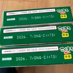 こくまろカレー　中辛　3こ3個の画像